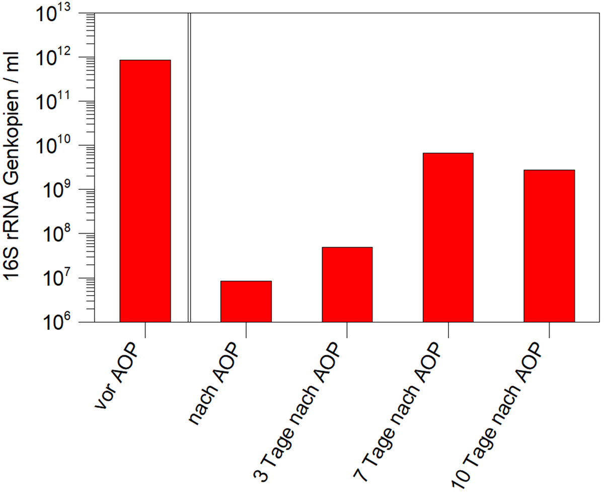 Abb. 4: Mikrobielle Abundanz gemessen als Genkopien (16S rRNA) im Fluid vor und nach Einsatz der UV-Lampe und Zugabe von H2O2 (AOP-Reaktor, senkrechte Linie), Nachweisgrenze 7 × 10⁶ Kopien / ml